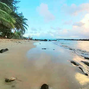 https://family-home-beaches-playa-restaurants-san-juan-pr.sanjuanpuertorico-hotels.com